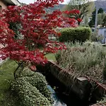 Bed & Breakfast La Cinciallegra
