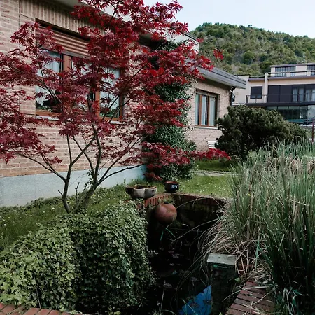 La Cinciallegra Val della Torre