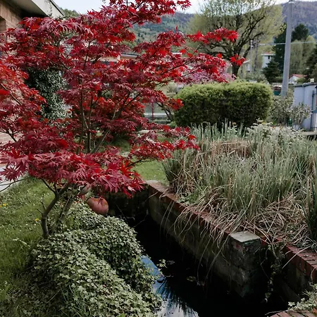 Bed and Breakfast La Cinciallegra